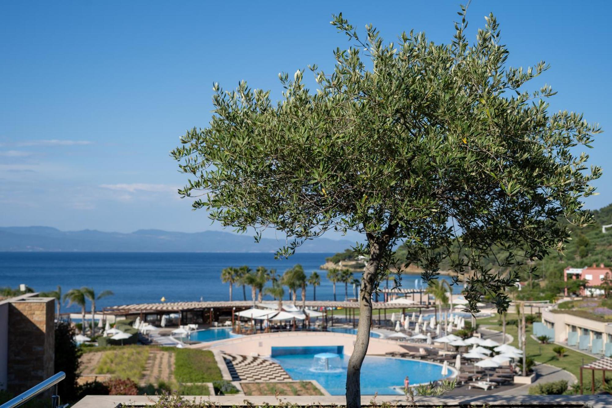 Miraggio Thermal Spa Resort Paliouri Exteriér fotografie View of the bay of Nikiti